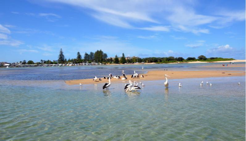 Bay House Motel Bateau Bay Εξωτερικό φωτογραφία